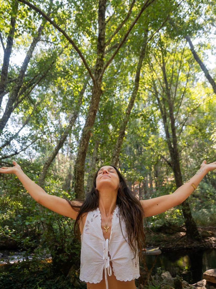 Benvinda na floresta